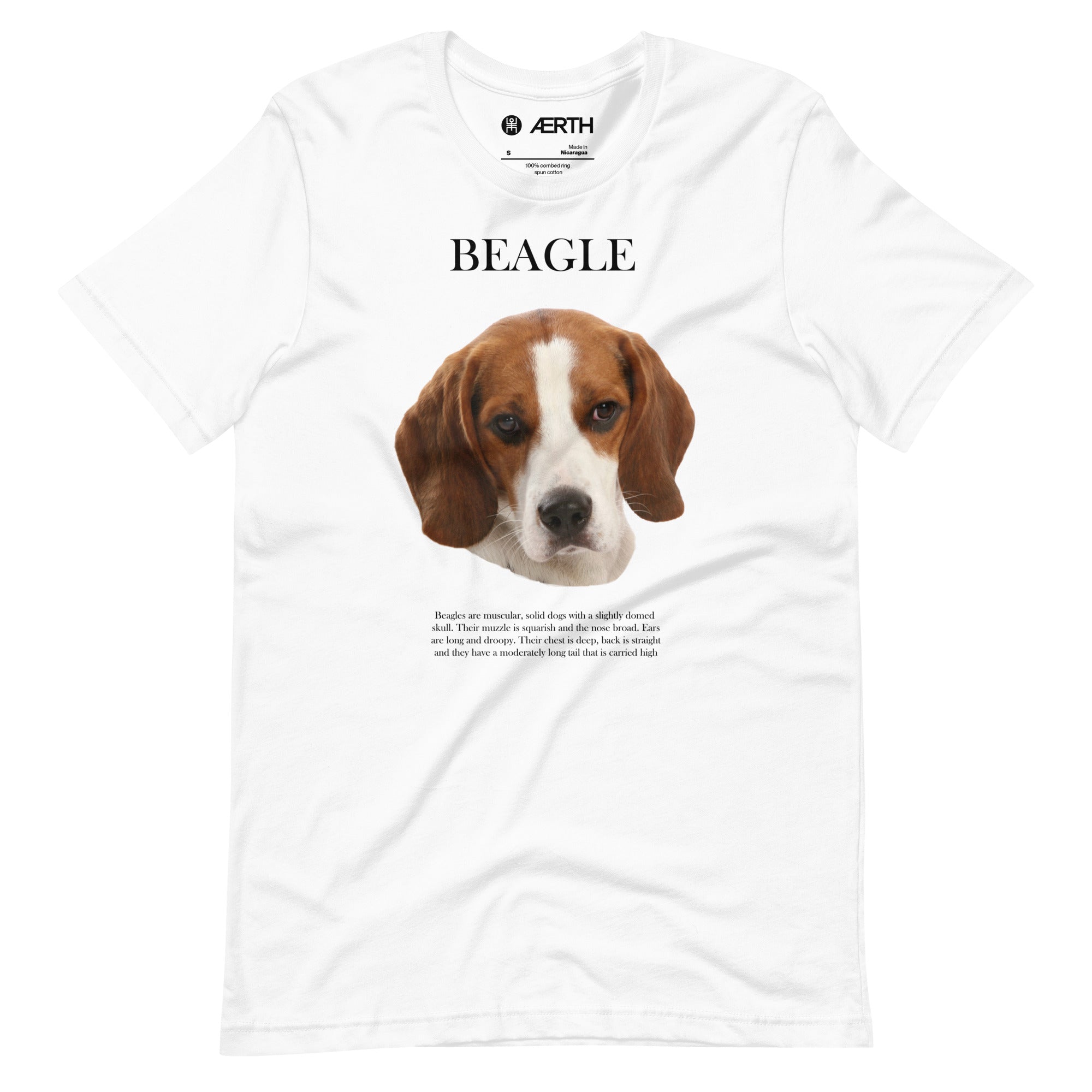 Beagle clothing and store accessories